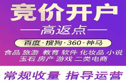 案例分析：打造高效竞价推广策略